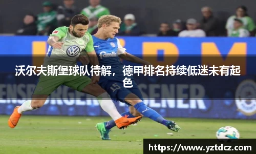 jn江南·(中国区)体育平台